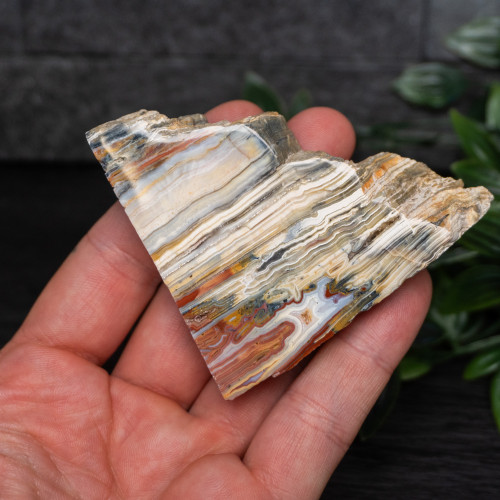 Pink Lace Chalcedony Slice #4