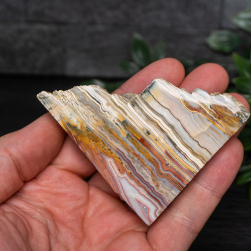 Pink Lace Chalcedony Slice #4