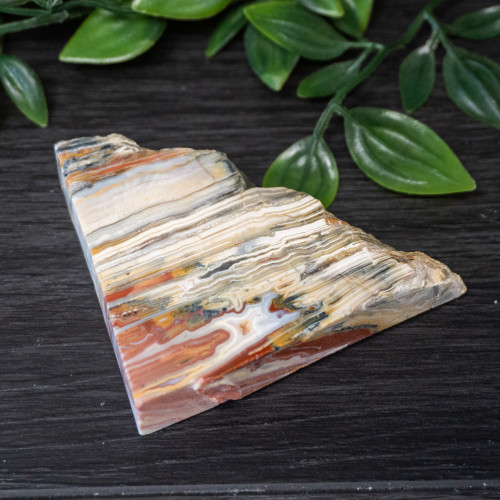 Pink Lace Chalcedony Slice #4