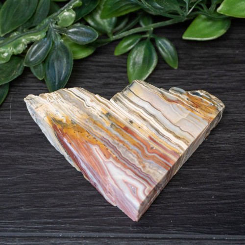 Pink Lace Chalcedony Slice #4