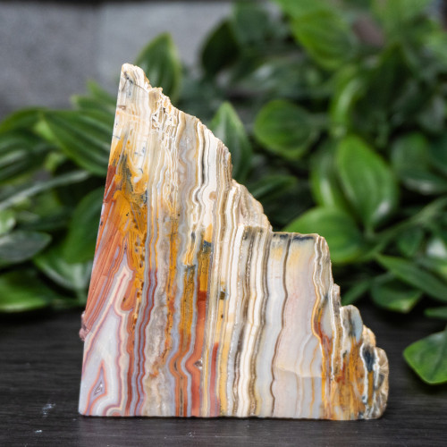 Pink Lace Chalcedony Slice #4