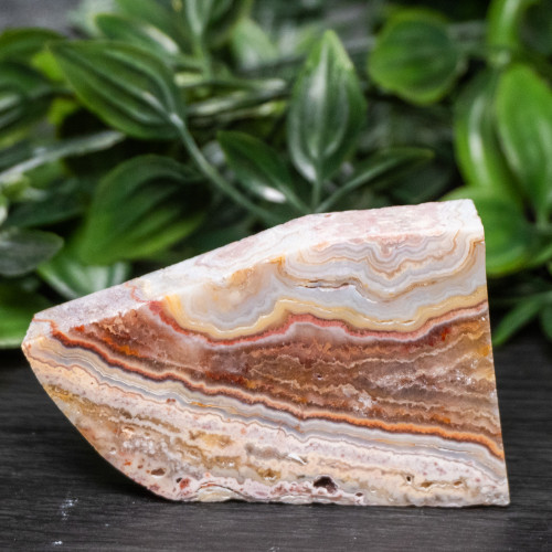 Pink Lace Chalcedony Slice #3