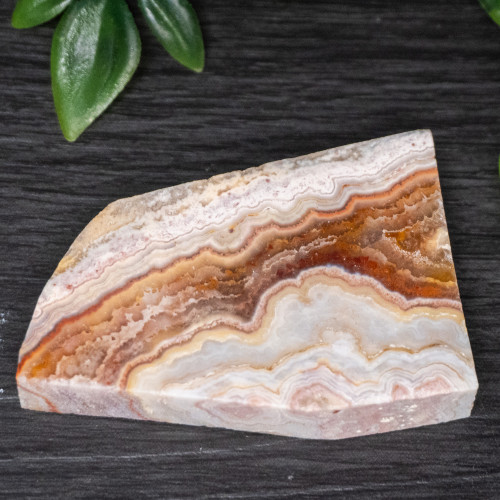 Pink Lace Chalcedony Slice #3