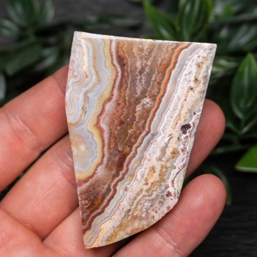 Pink Lace Chalcedony Slice #3