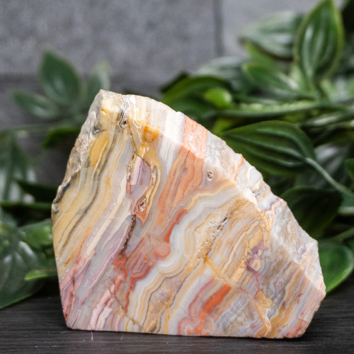 Pink Lace Chalcedony Slice #2