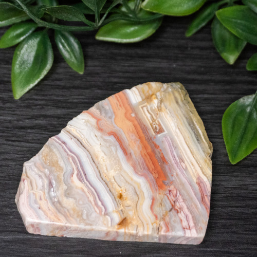 Pink Lace Chalcedony Slice #2