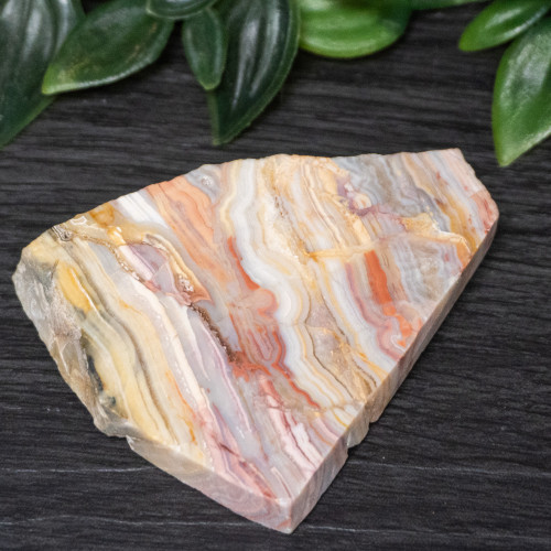 Pink Lace Chalcedony Slice #2