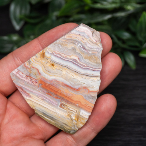 Pink Lace Chalcedony Slice #2