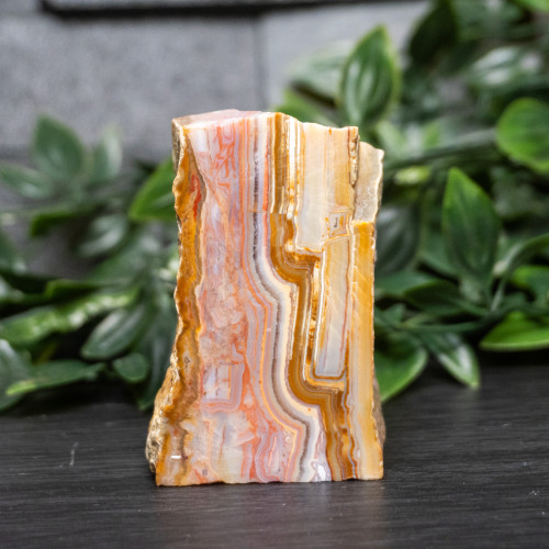 Pink Lace Chalcedony Slice #1