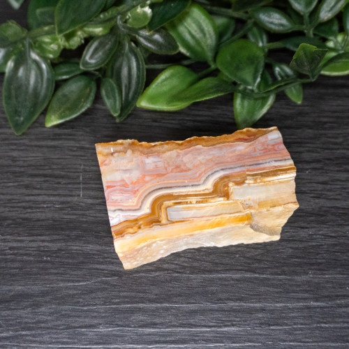 Pink Lace Chalcedony Slice #1