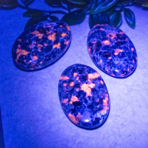 UV Sodalite Palmstone