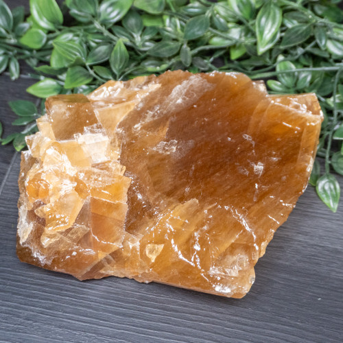 XL Honey Calcite #1