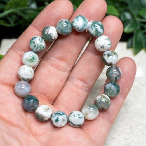 Tree Agate Bracelet 10mm