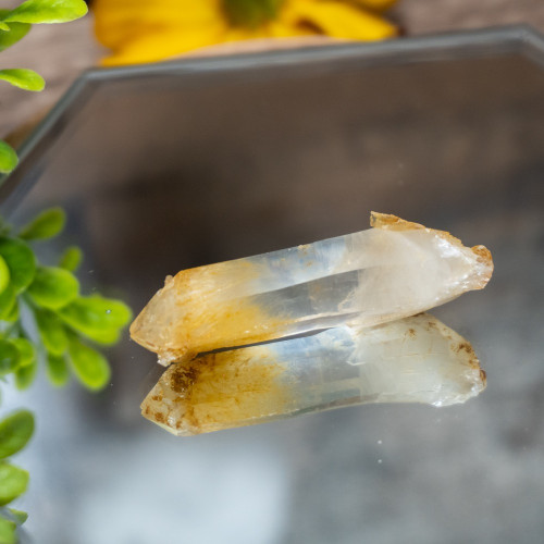 Mango Quartz #6