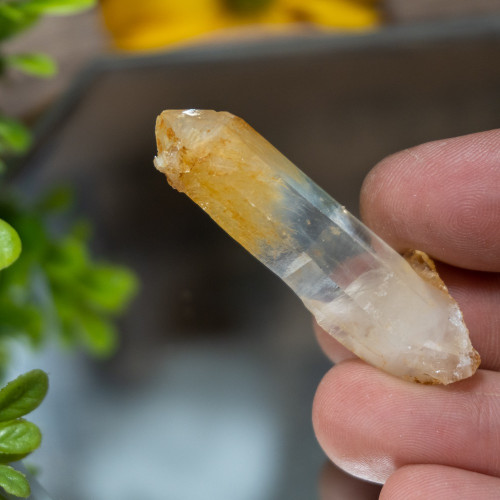 Mango Quartz #6