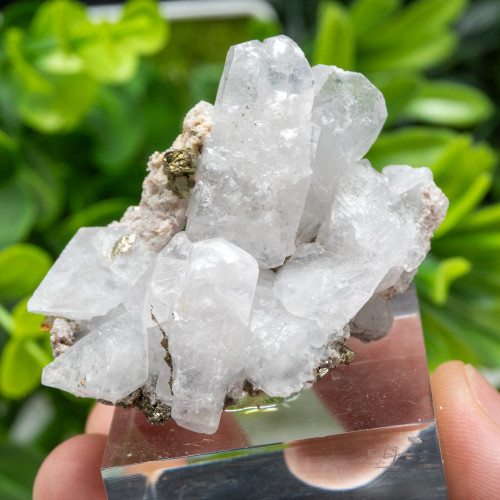 Mangano Calcite (UV) with Pyrite on Stand #1