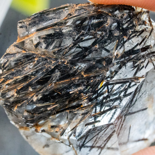 Black Tourmaline & Rutile in Quartz #1