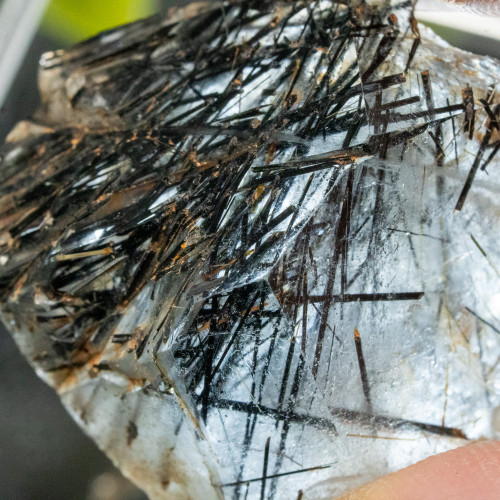 Black Tourmaline & Rutile in Quartz #1