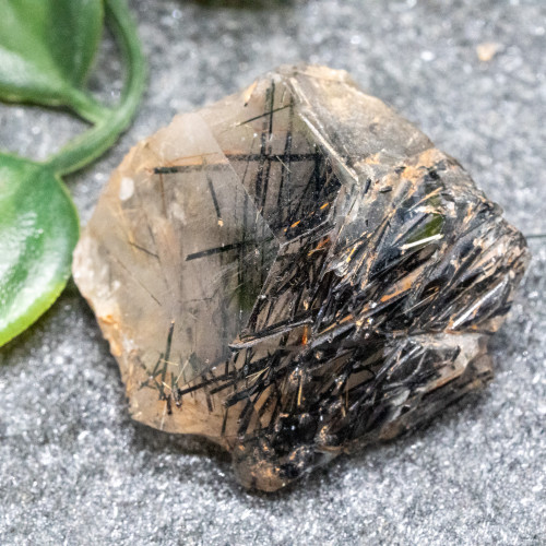 Black Tourmaline & Rutile in Quartz #1
