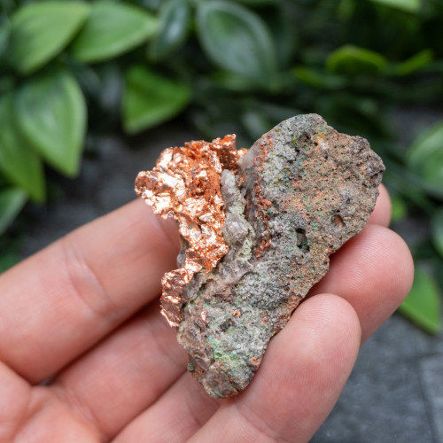 Native Michigan Copper #8