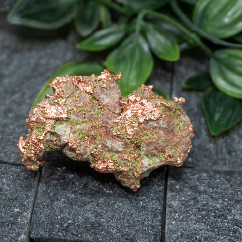 Native Michigan Copper #5