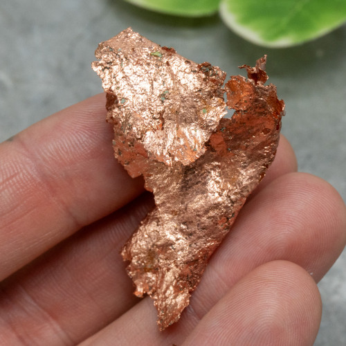 Native Michigan Copper #4