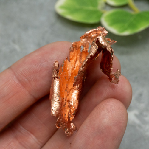 Native Michigan Copper #4