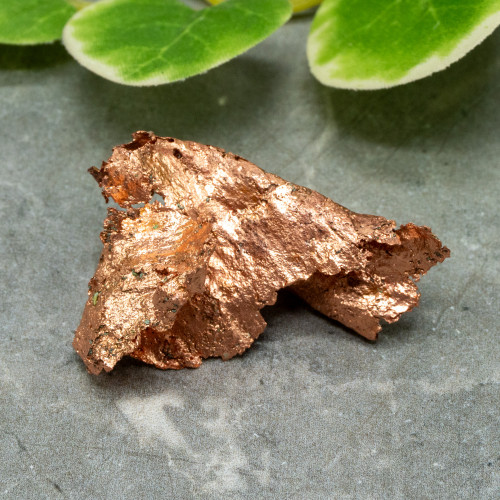 Native Michigan Copper #4