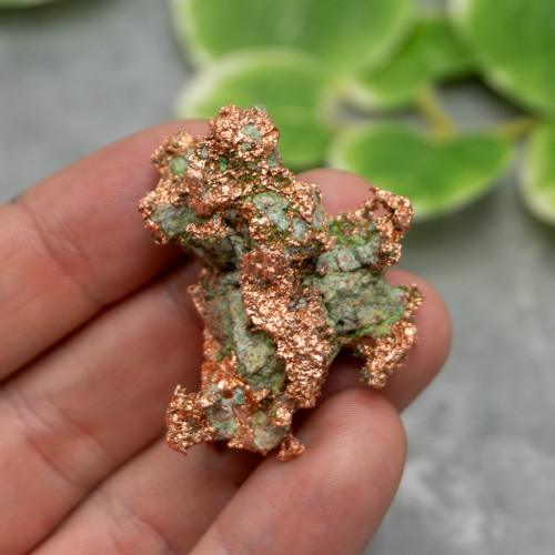 Native Michigan Copper #3