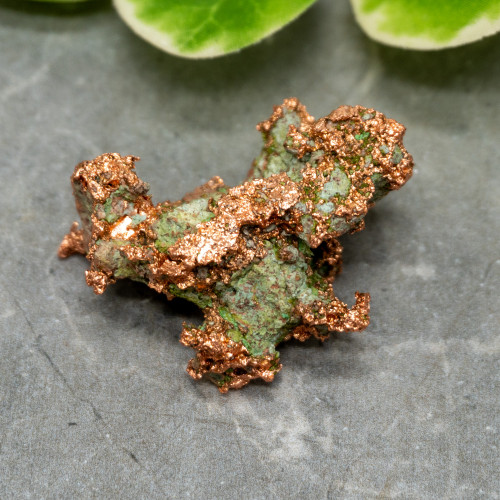 Native Michigan Copper #3