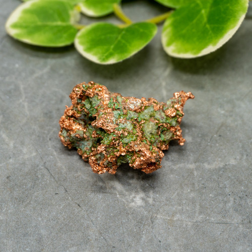 Native Michigan Copper #3