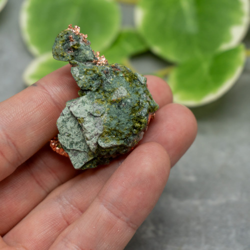 Native Michigan Copper #2