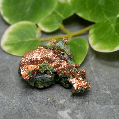 Native Michigan Copper #2
