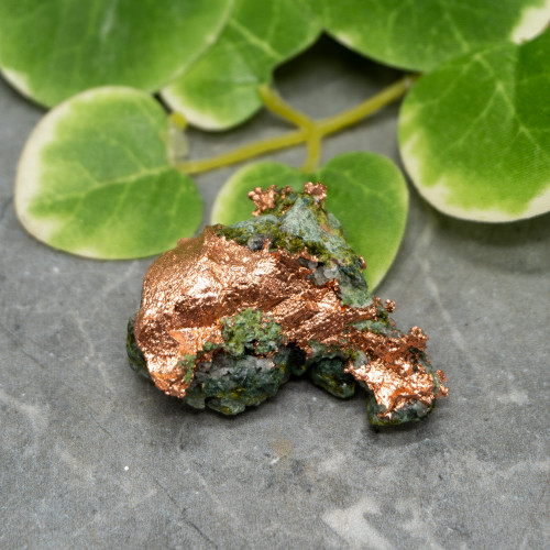Native Michigan Copper #2