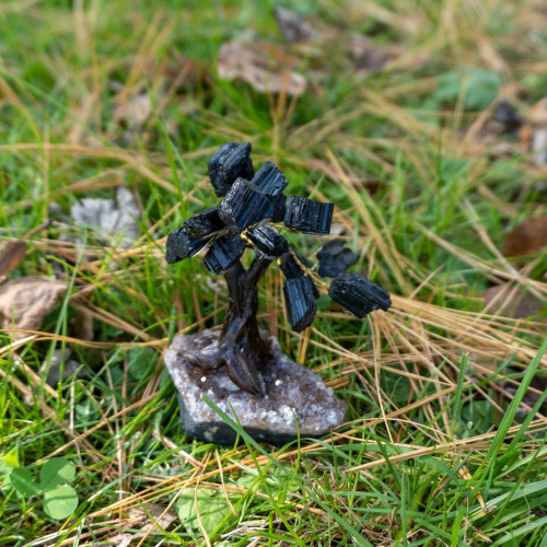 Black Tourmaline Tree