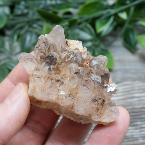Phantom Quartz #1