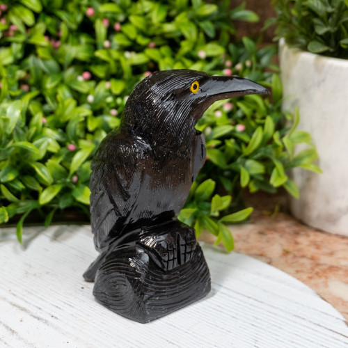 Large Black Onyx Raven