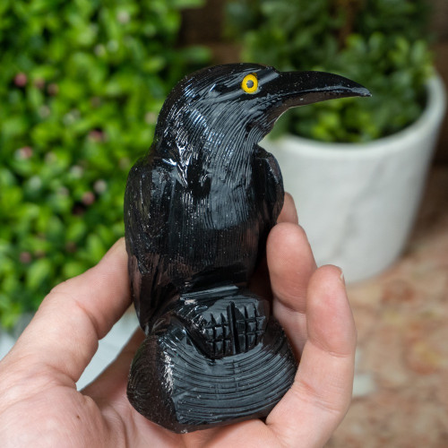 Large Black Onyx Raven