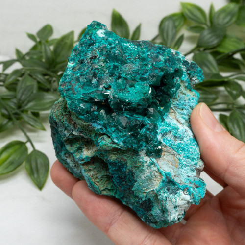 Dioptase with Chrysocolla #17