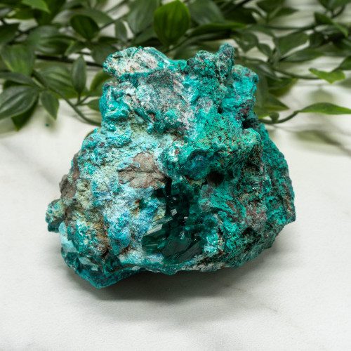 Dioptase with Chrysocolla #17