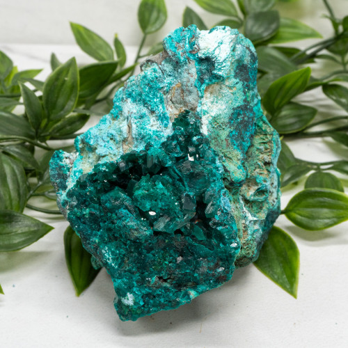 Dioptase with Chrysocolla #17