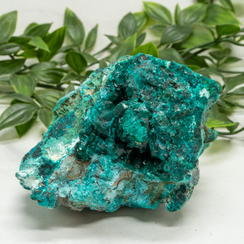 Dioptase with Chrysocolla #17