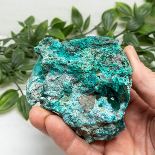 Dioptase with Chrysocolla #17