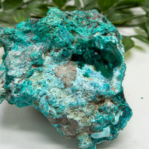 Dioptase with Chrysocolla #17