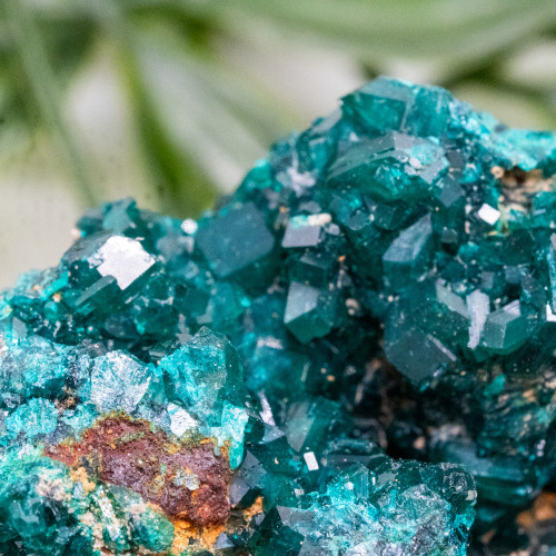Dioptase #16