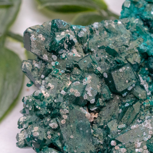 Dioptase #15