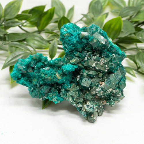 Dioptase #15