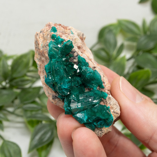 Dioptase #13