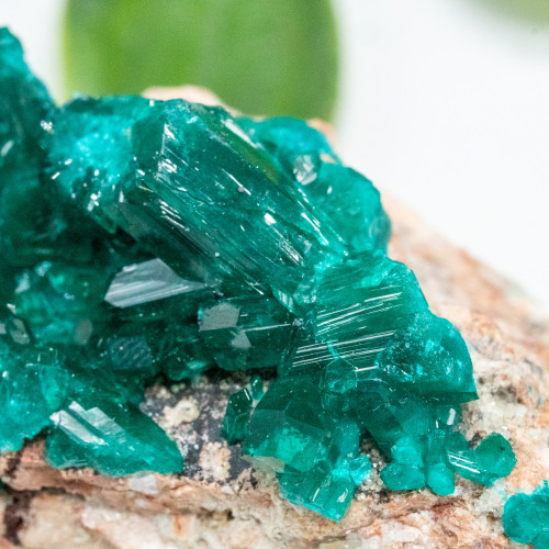 Dioptase #13