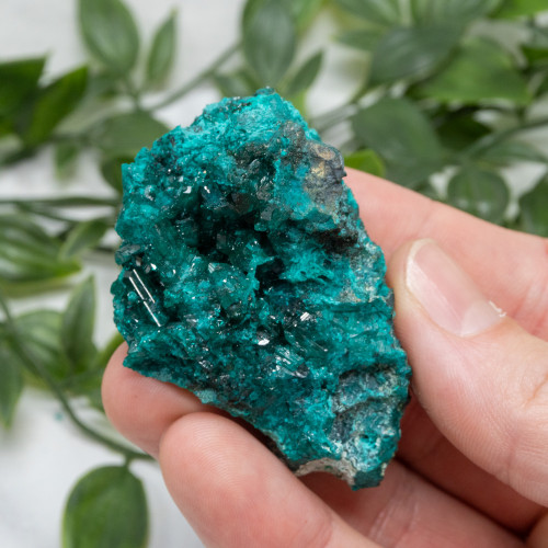 Dioptase #14